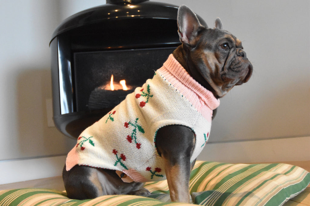 Dog Sweaters and Jackets
